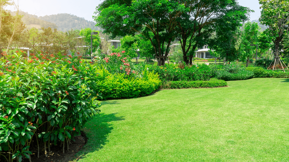 Entretien de jardin à Vaucresson